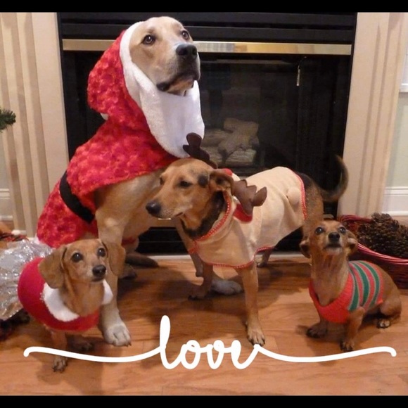 Meet your Posher, Anne - Picture 6 of 7